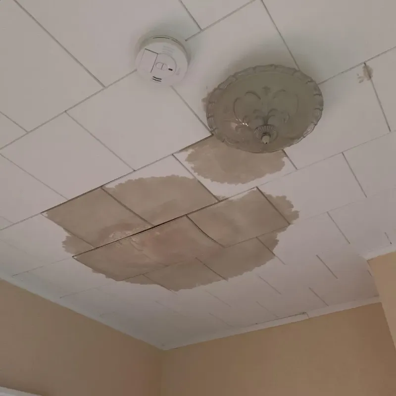 Ceiling Water Damage Repair in McHenry County, ND