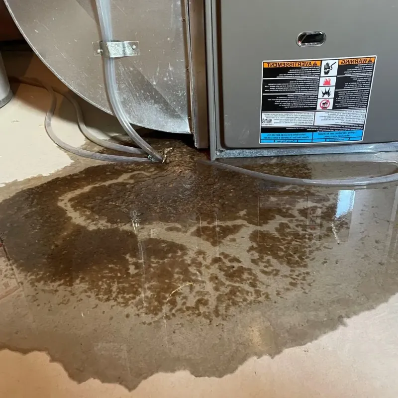 Pipe Burst and Leak Restoration in McHenry County, ND